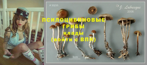 герыч Бронницы