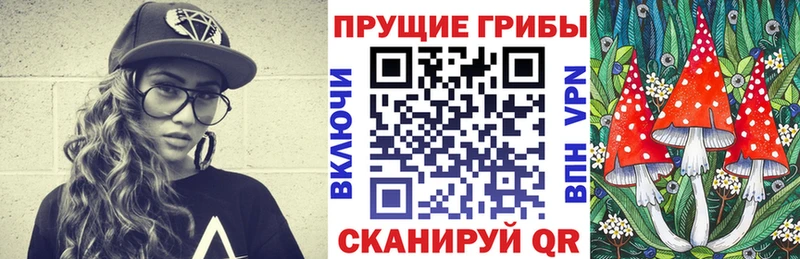 блэк спрут как зайти  Данилов  Псилоцибиновые грибы мицелий 